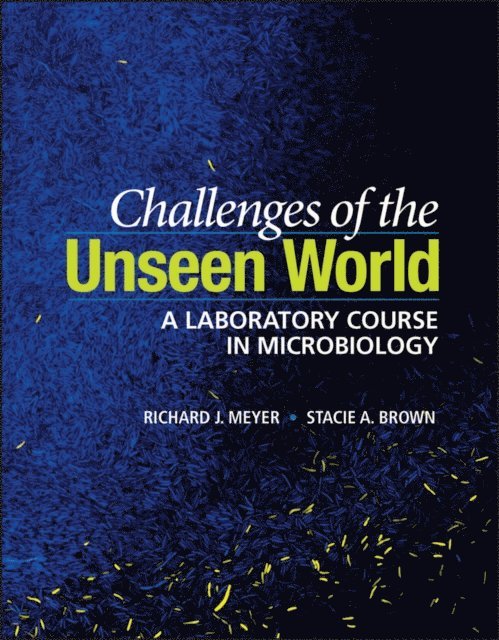 Stacie A. Brown, Richard J. Meyer - Challenges of the Unseen World, E-bok