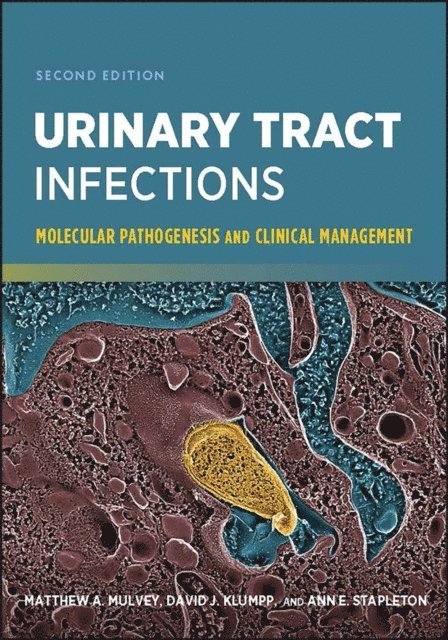 Ann E. Stapleton, David J. Klumpp, Matthew A. Mulvey - Urinary Tract Infections, E-bok