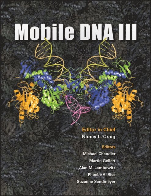 Suzanne B. Sandmeyer, Phoebe A. Rice, Alan M. Lambowitz, Martin Gellert, Michael Chandler - Mobile DNA III, E-bok