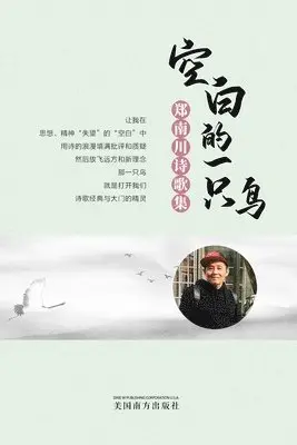 Nanchuan Zheng - 空白的一只鸟（A Blank Bird, Chinese Edition）, Häftad. Tillgänglighet: Lägg i varukorg