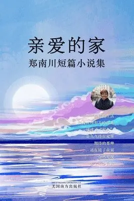 Nanchuan Zheng - 亲爱的家, Häftad. Tillgänglighet: Lägg i varukorg