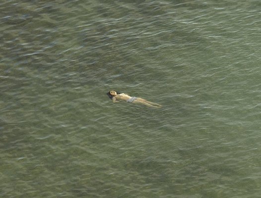 Richard Misrach - Richard Misrach: The Mysterious Opacity of Other Beings (Signed Edition), Inbunden. Tillgänglighet: Tillfälligt slut