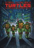 Teenage Mutant Ninja Turtles: The Ultimate Collection, Vol. 2
