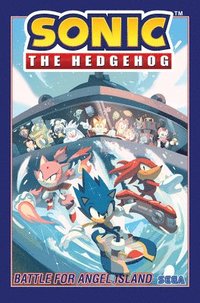 Sonic the Hedgehog: Sonic & Tails: Best Buds Forever by Ian Flynn