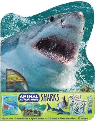 Cynthia Stierle - Animal Adventures: Sharks, Övrigt