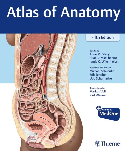 Udo Schumacher, Erik Schulte, Michael Schuenke, Jamie Wikenheiser, Brian R MacPherson, Anne M Gilroy - Atlas of Anatomy, E-bok
