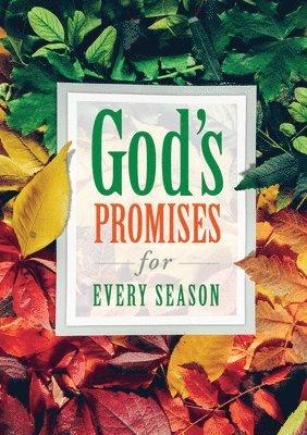 Warner Press - God's Promises for Every Season (Pk of 6), Häftad. Tillgänglighet: Lägg i varukorg