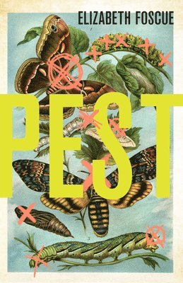 Elizabeth Foscue - Pest, Häftad. Tillgänglighet: Lägg i varukorg