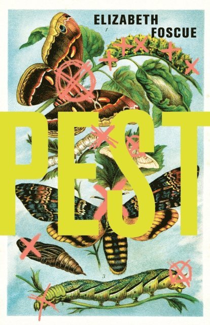 Elizabeth Foscue - Pest, E-bok. Tillgänglighet: Lägg i varukorg