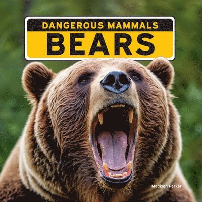Madison Parker - Bears, Häftad. Tillgänglighet: Lägg i varukorg