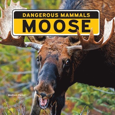 Madison Parker - Moose, Häftad. Tillgänglighet: Lägg i varukorg