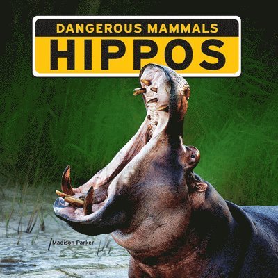 Madison Parker - Hippos, Häftad. Tillgänglighet: Lägg i varukorg