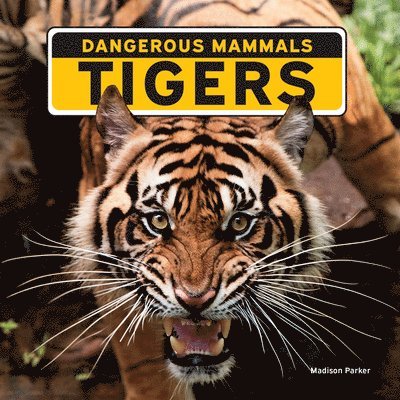 Madison Parker - Tigers, Häftad