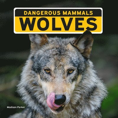 Madison Parker - Wolves, Häftad. Tillgänglighet: Lägg i varukorg