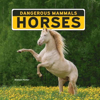 Madison Parker - Horses, Häftad. Tillgänglighet: Lägg i varukorg