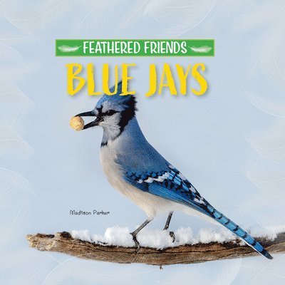 Madison Parker - Blue Jays, Häftad. Tillgänglighet: Lägg i varukorg
