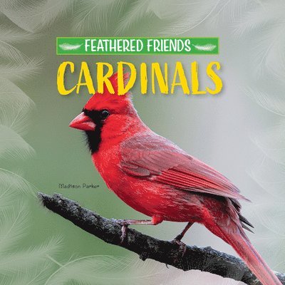 Madison Parker - Cardinals, Häftad. Tillgänglighet: Lägg i varukorg
