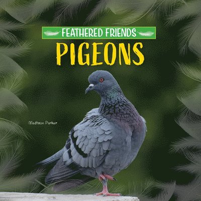 Madison Parker - Pigeons, Häftad
