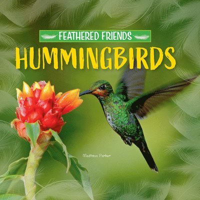 Madison Parker - Hummingbirds, Häftad. Tillgänglighet: Lägg i varukorg