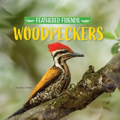 Madison Parker - Woodpeckers, Häftad. Tillgänglighet: Lägg i varukorg