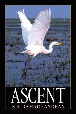 K S - Ascent, Häftad. Tillgänglighet: Lägg i varukorg