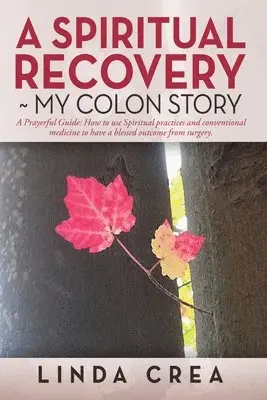 Linda Crea - Spiritual Recovery My colon story, Häftad. Tillgänglighet: Lägg i varukorg