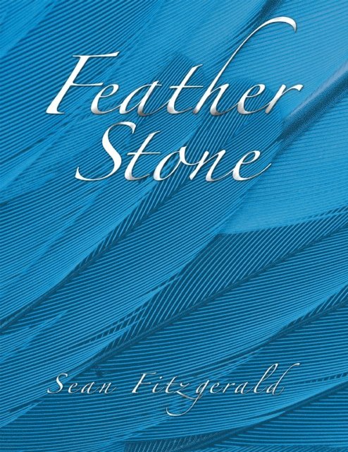 Sean Fitzgerald - Feather Stone, E-bok