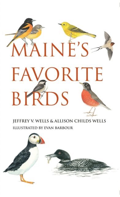 Allison Childs Wells, Jeffrey V. Wells - Maine's Favorite Birds, E-bok