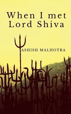 Ashish Malhotra - When I met Lord Shiva, Häftad. Tillgänglighet: Lägg i varukorg