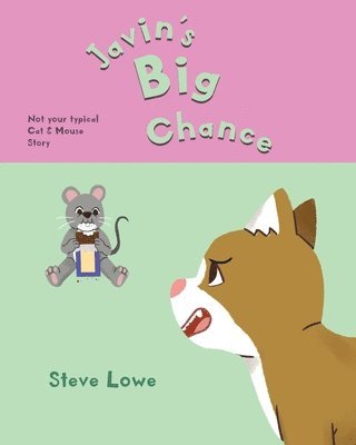 Steve Lowe - Javin's Big Chance, Häftad