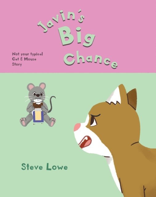 Steve Lowe - Javin's Big Chance, E-bok