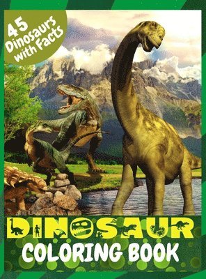 Lora Dorny - Dinosaur Coloring Book, Inbunden. Tillgänglighet: Lägg i varukorg