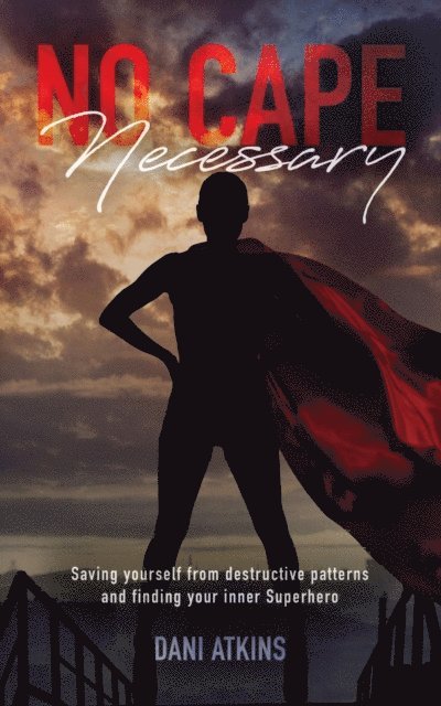 Dani Atkins - No Cape Necessary, E-bok