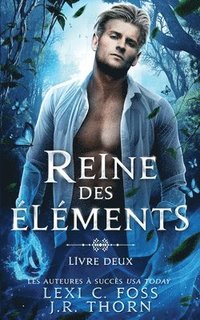 Elemental Fae Academy: Book Three by Foss, Lexi C.