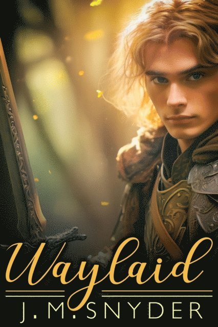 J.M. Snyder - Waylaid, E-bok