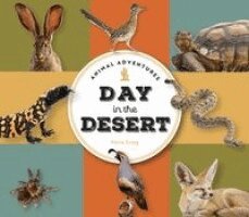 Fiona Craig - Animal Adventures: Day in the Desert, Kartonnage. Tillgänglighet: Kommande