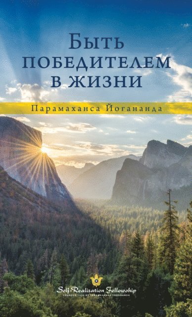 Быть победителем в жизни, E-bok