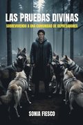 Pruebas Divinas