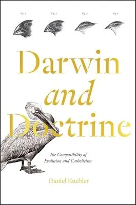 Daniel Kuebler - Darwin and Doctrine: The Compatibility of Evolution and Catholicism, Inbunden. Tillgänglighet: Lägg i varukorg