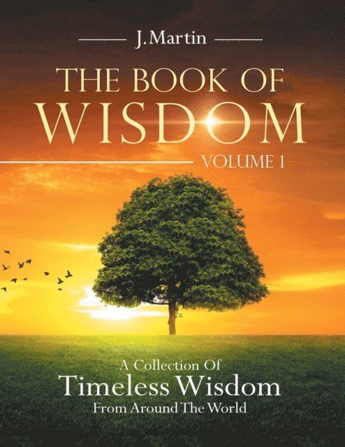 J. Martin - Book of Wisdom, E-bok