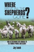 Where Have All the Shepherds Gone?