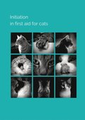 Initiation infirst aid for cats