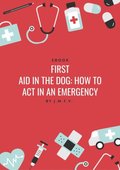 First aid in the dog: how to act in an emergency