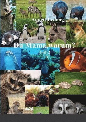 Annett Ledong - Du Mama, warum ...?, Häftad
