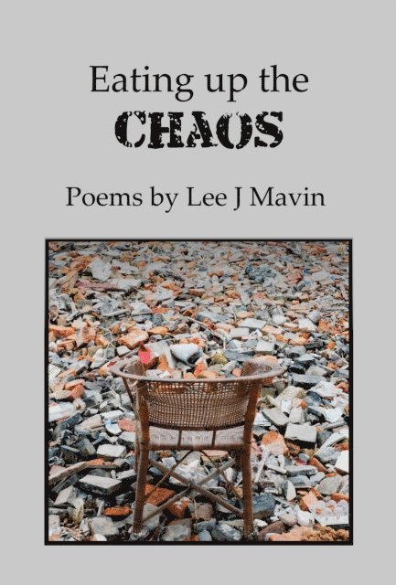 Lee J Mavin - Eating up the Chaos, E-bok