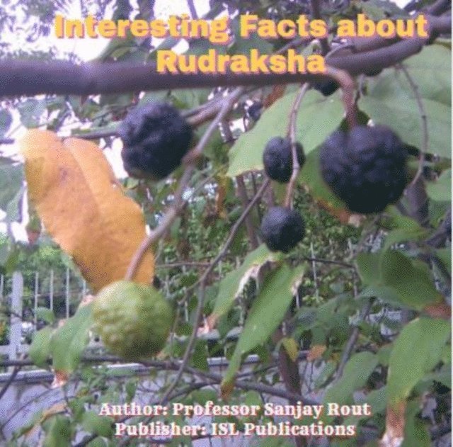 Professor Sanjay Rout - Interesting Facts about Rudraksha, E-bok. Tillgänglighet: Lägg i varukorg