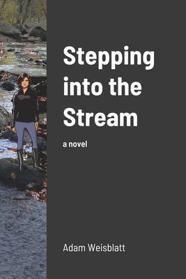 Adam Weisblatt - Stepping into the Stream, Häftad