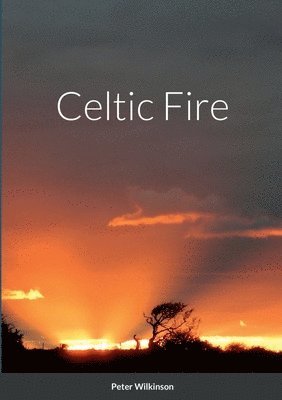 Peter Wilkinson - Celtic Fire, Häftad. Tillgänglighet: Lägg i varukorg