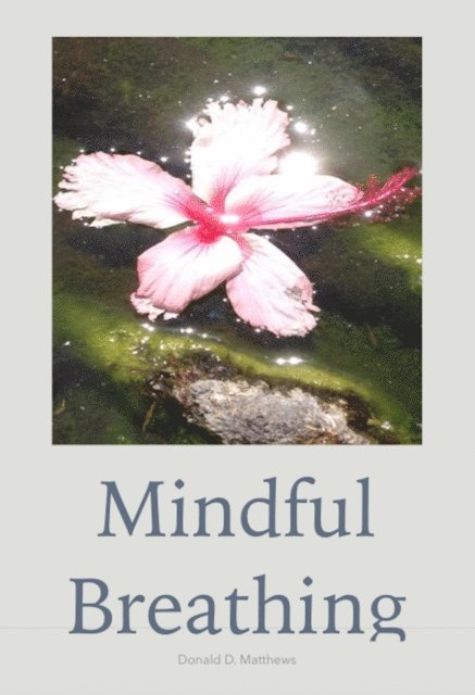 Donald Matthews - Mindful Breathing, E-bok