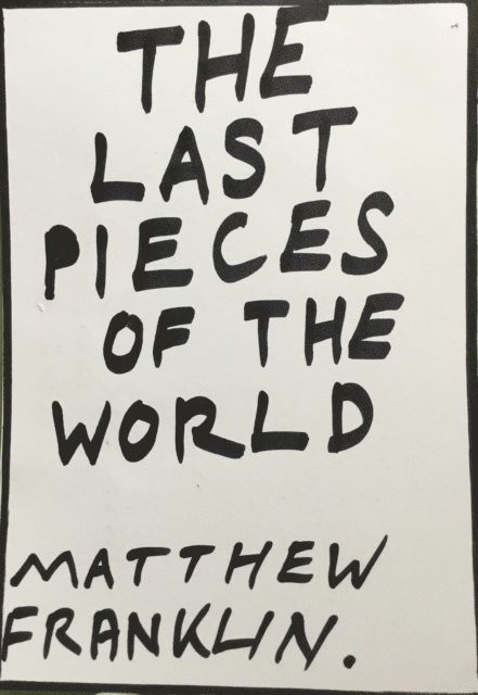 Matthew Franklin - Last Pieces of the World, E-bok